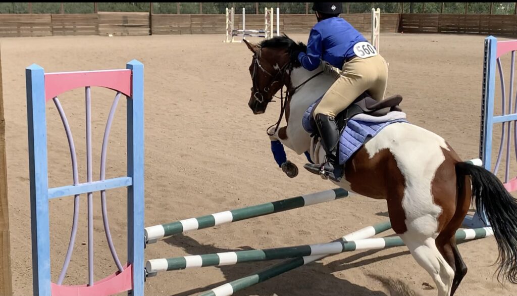 Riding Lessons – Academy Stables