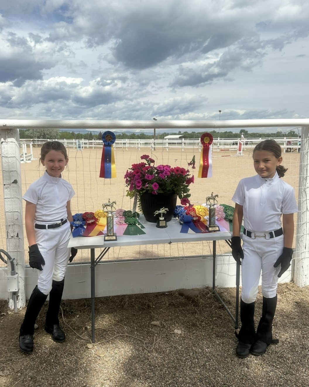 Academy Stables – Building Confident Riders, One Lesson at a Time
