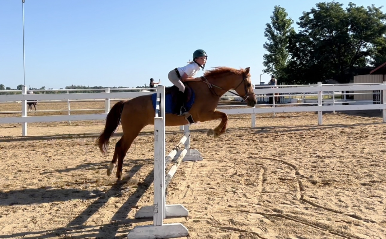 Horse jumping with a girl rider